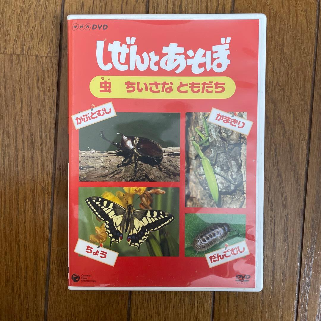 しぜんとあそぼ dvd 虫 教育 教材
