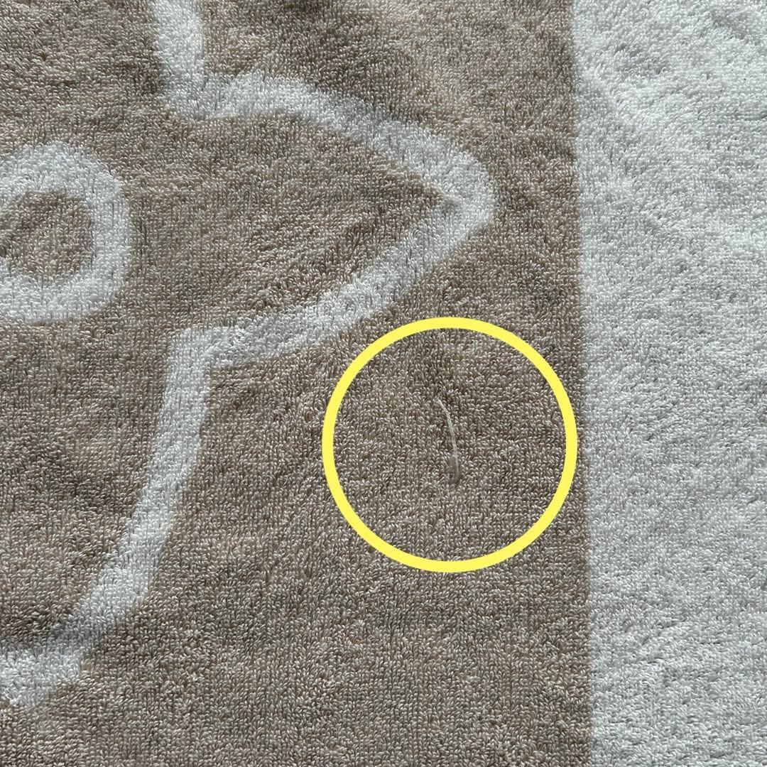 LOUIS VUITTON ビーチタオル　ブランケット　タイシェンヌ　ベージュ