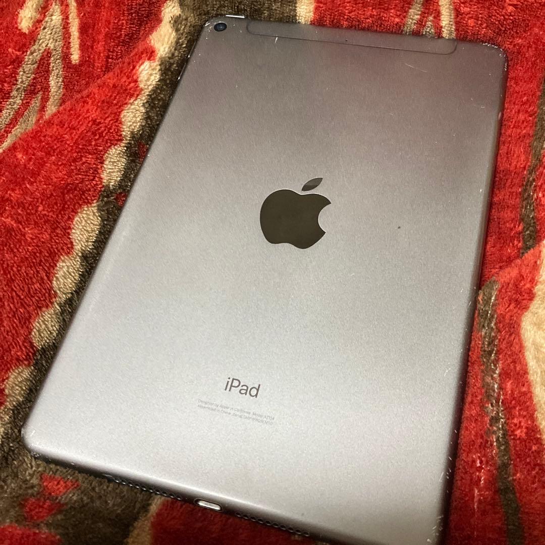 iPad本体 Apple iPad mini 5 256GB cellular