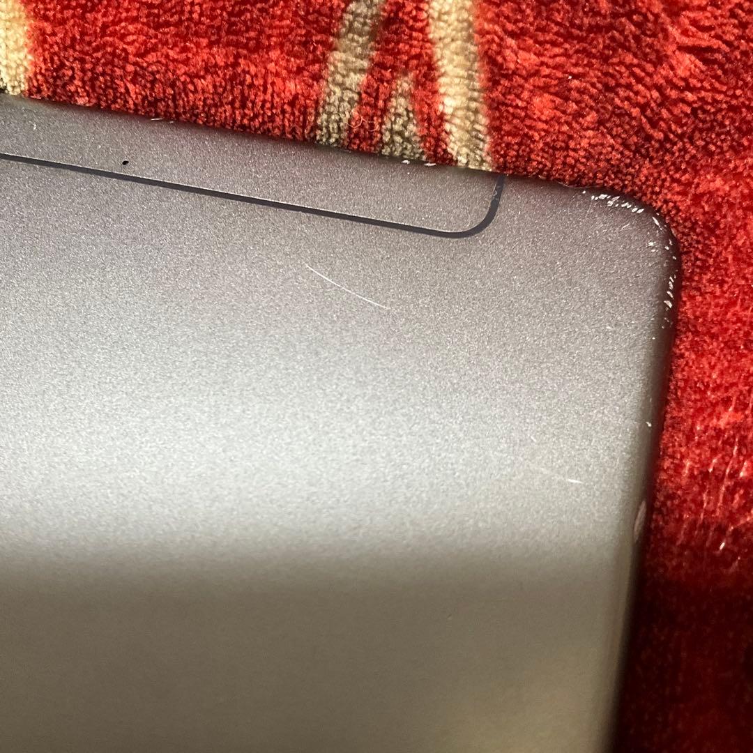 iPad本体 Apple iPad mini 5 256GB cellular