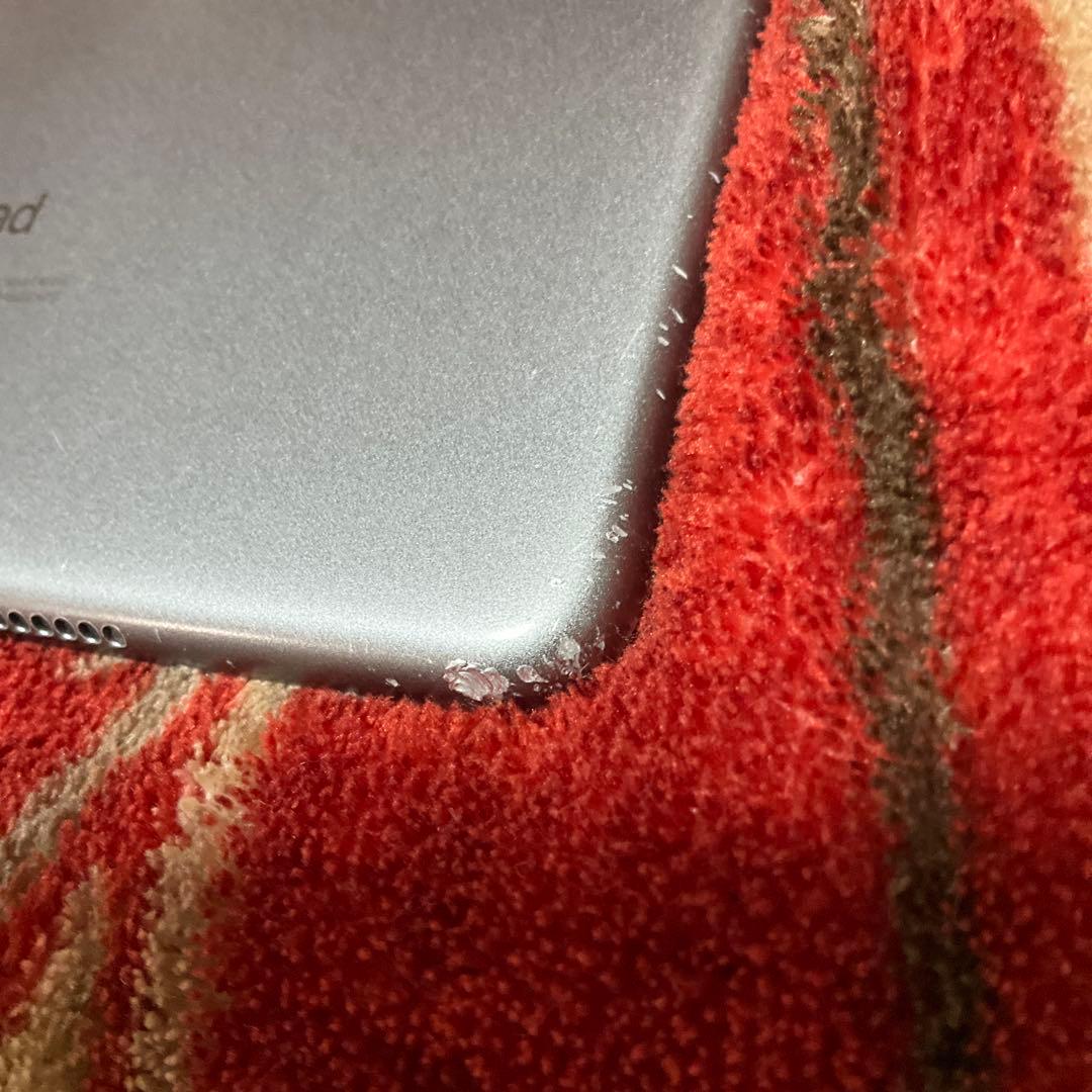 iPad本体 Apple iPad mini 5 256GB cellular