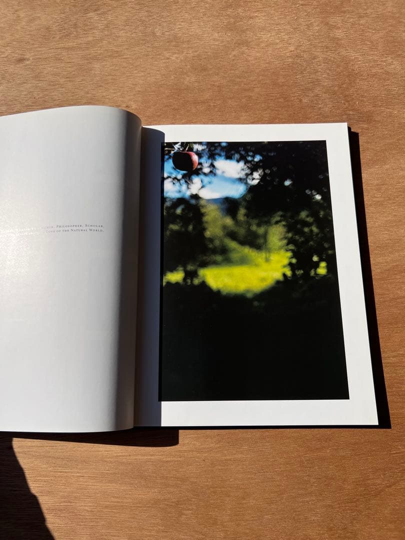 Lana by Terri Weifenbach ハードカバー