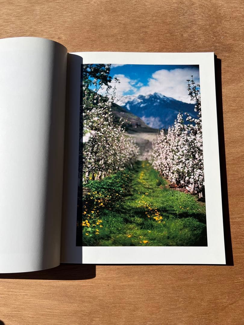 Lana by Terri Weifenbach ハードカバー