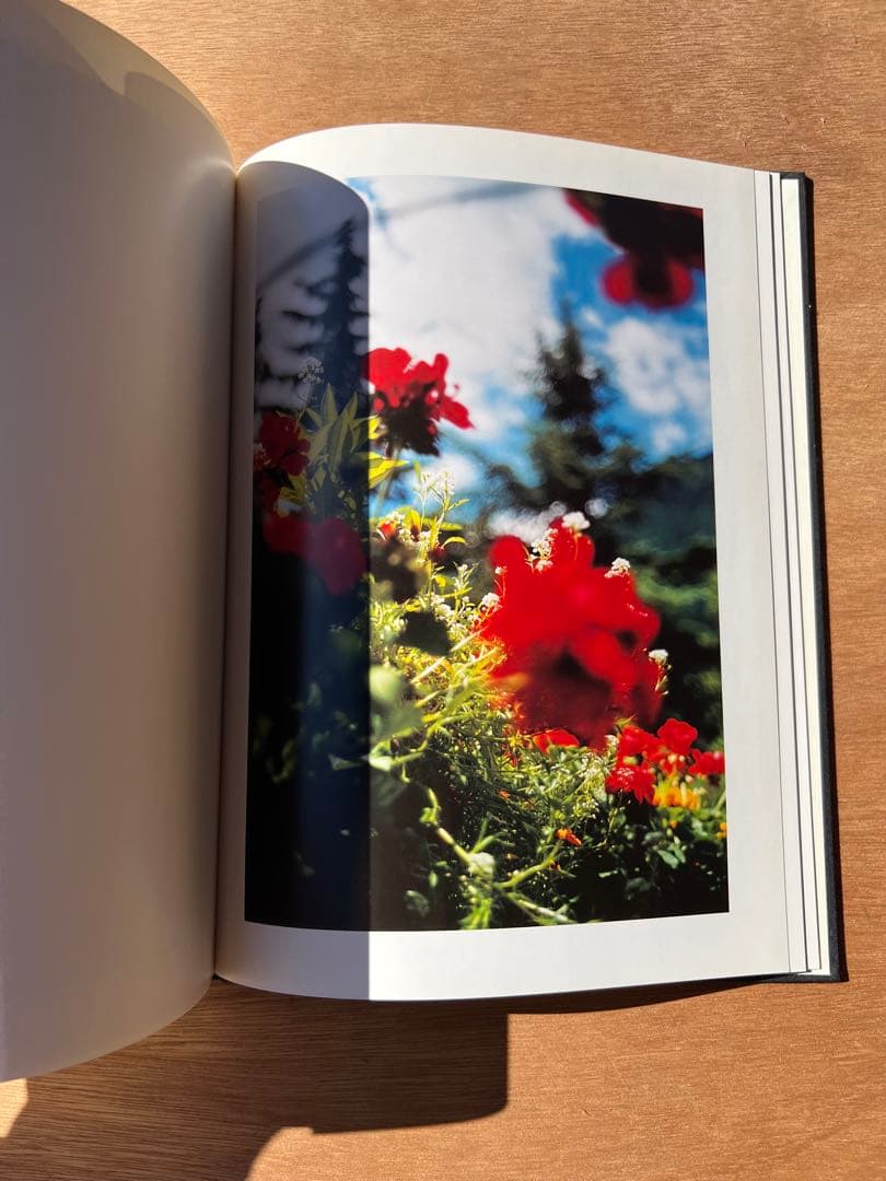 Lana by Terri Weifenbach ハードカバー