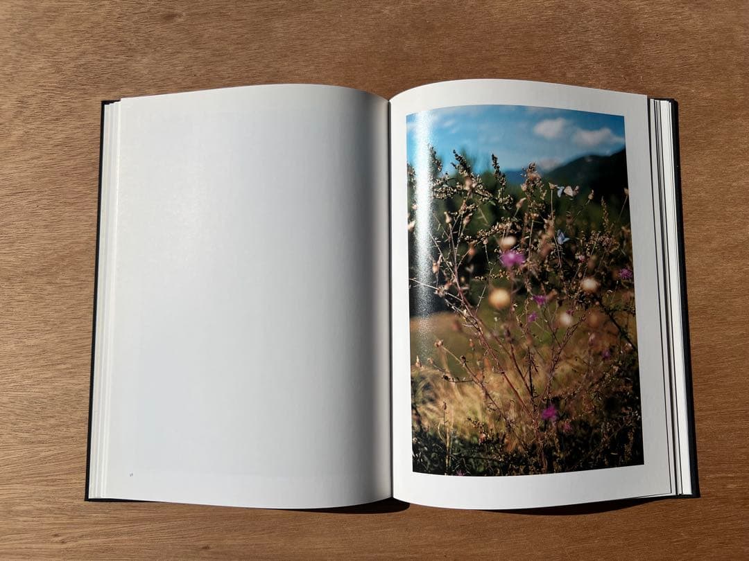 Lana by Terri Weifenbach ハードカバー