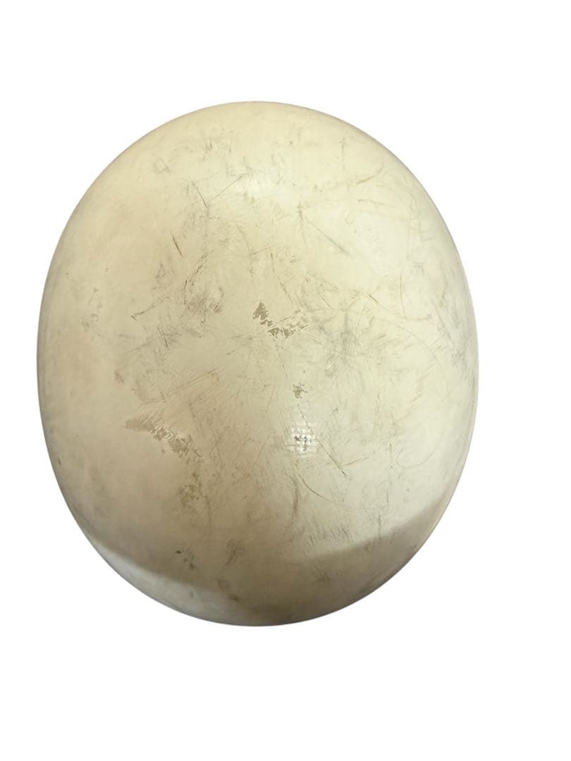 TT &CO. マックホール　クラブスター　エイジング