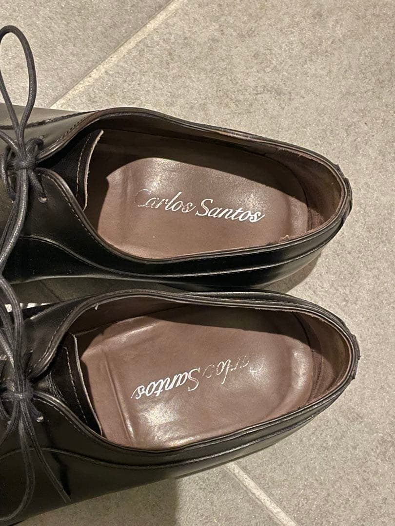 Carlos Santos カルロスサントス グッドイヤー