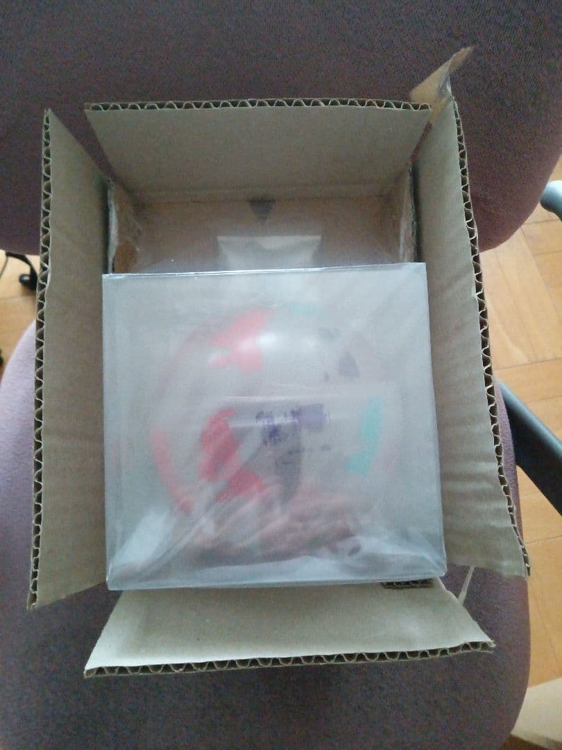 Plazma/BOW AND ARROWハロ盤特典サイリウムチャーム付