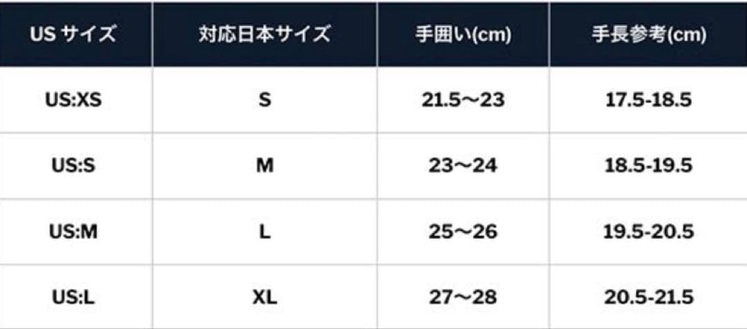 SWANY スノーボード用レザーグローブ