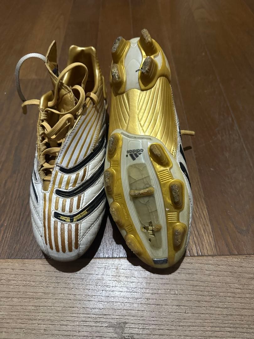 貴重！プレデターアブソリュートFG