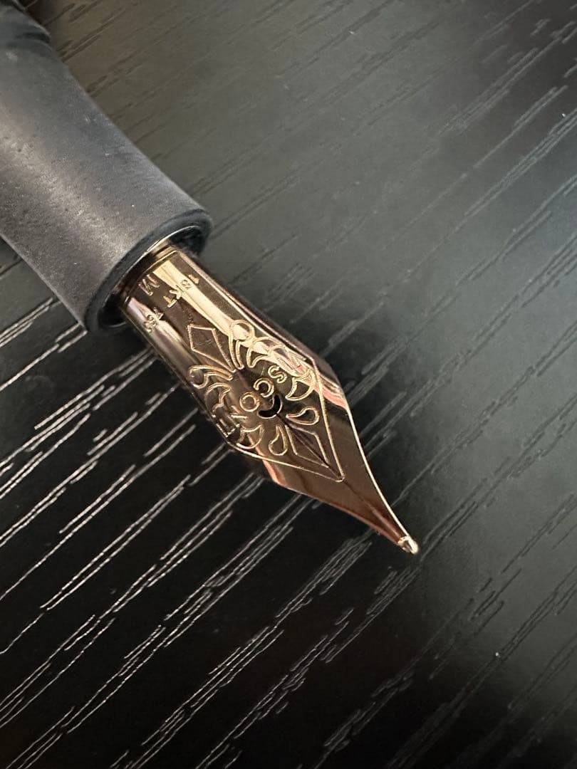 【らじ】VISCONTI ホモサピエンス ブロンズ 万年筆 専用ボックス