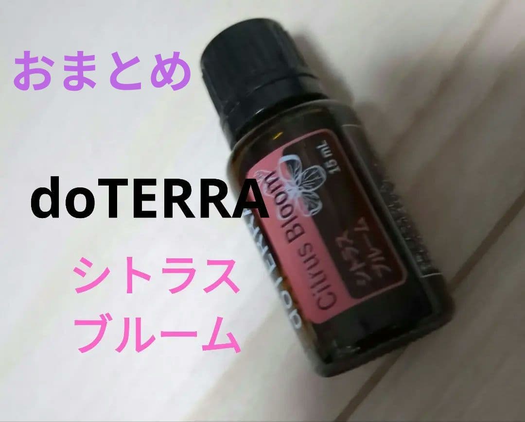 こばちゃん様 リクエスト 3点 まとめ商品