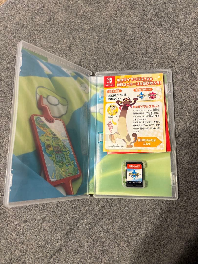 お*け様 Nintendo Switch 任天堂　ソフト付き