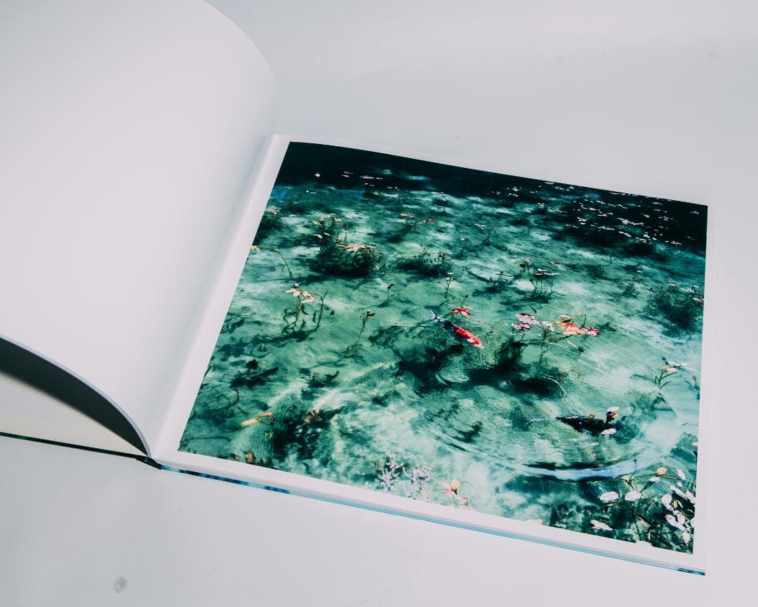 Water Mirror 鈴木理策 / Risaku Suzuki