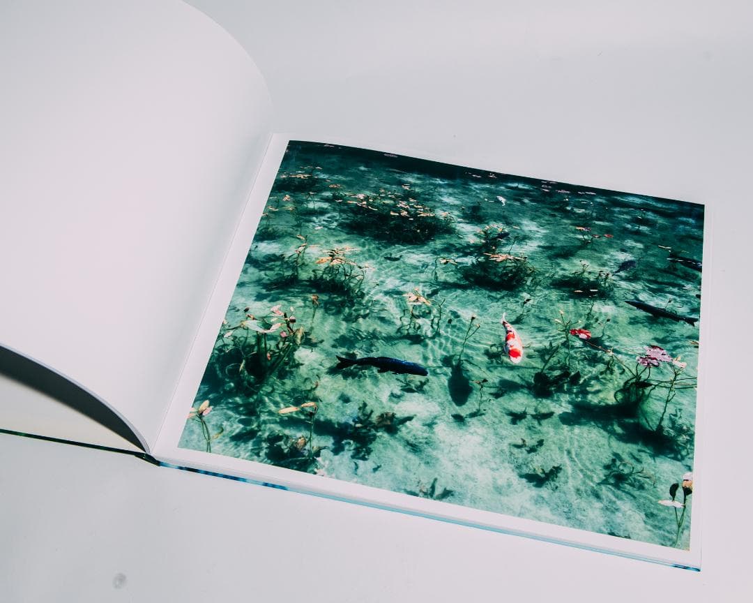 Water Mirror 鈴木理策 / Risaku Suzuki