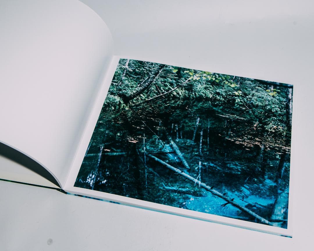 Water Mirror 鈴木理策 / Risaku Suzuki