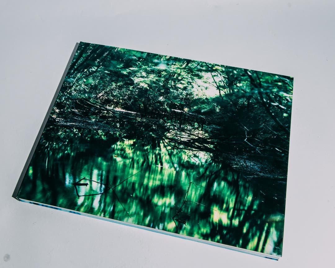 Water Mirror 鈴木理策 / Risaku Suzuki