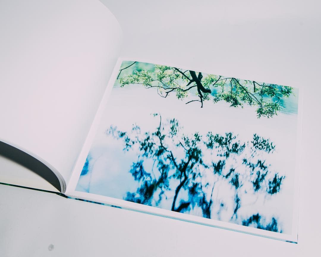 Water Mirror 鈴木理策 / Risaku Suzuki