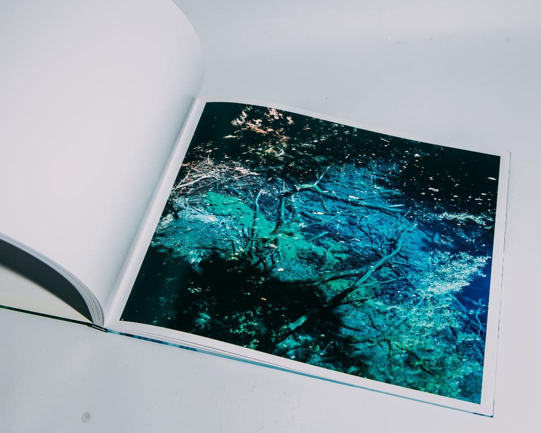 Water Mirror 鈴木理策 / Risaku Suzuki