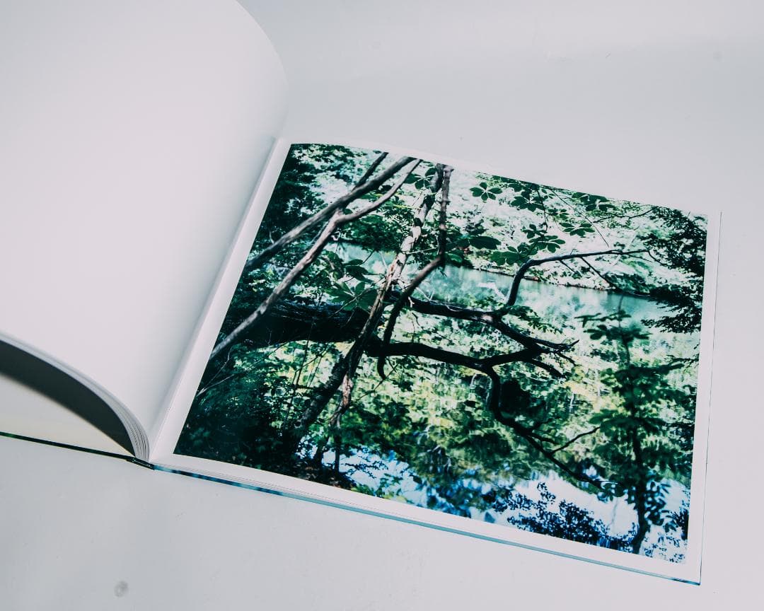 Water Mirror 鈴木理策 / Risaku Suzuki