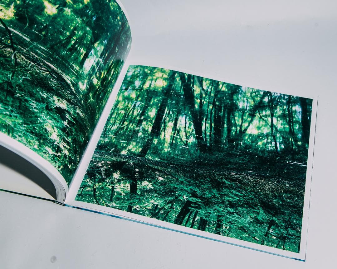 Water Mirror 鈴木理策 / Risaku Suzuki