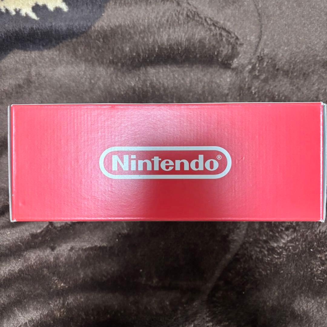 Nintendo SwitchLite 本体(ケース、箱付き)