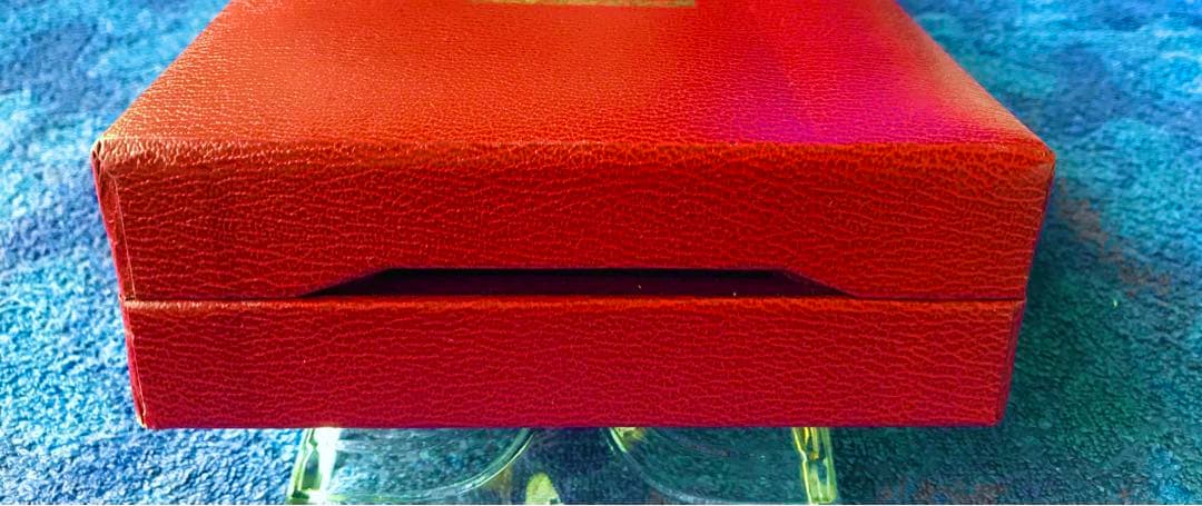 MOECK高級アルトリコーダー(メルカリ専用)