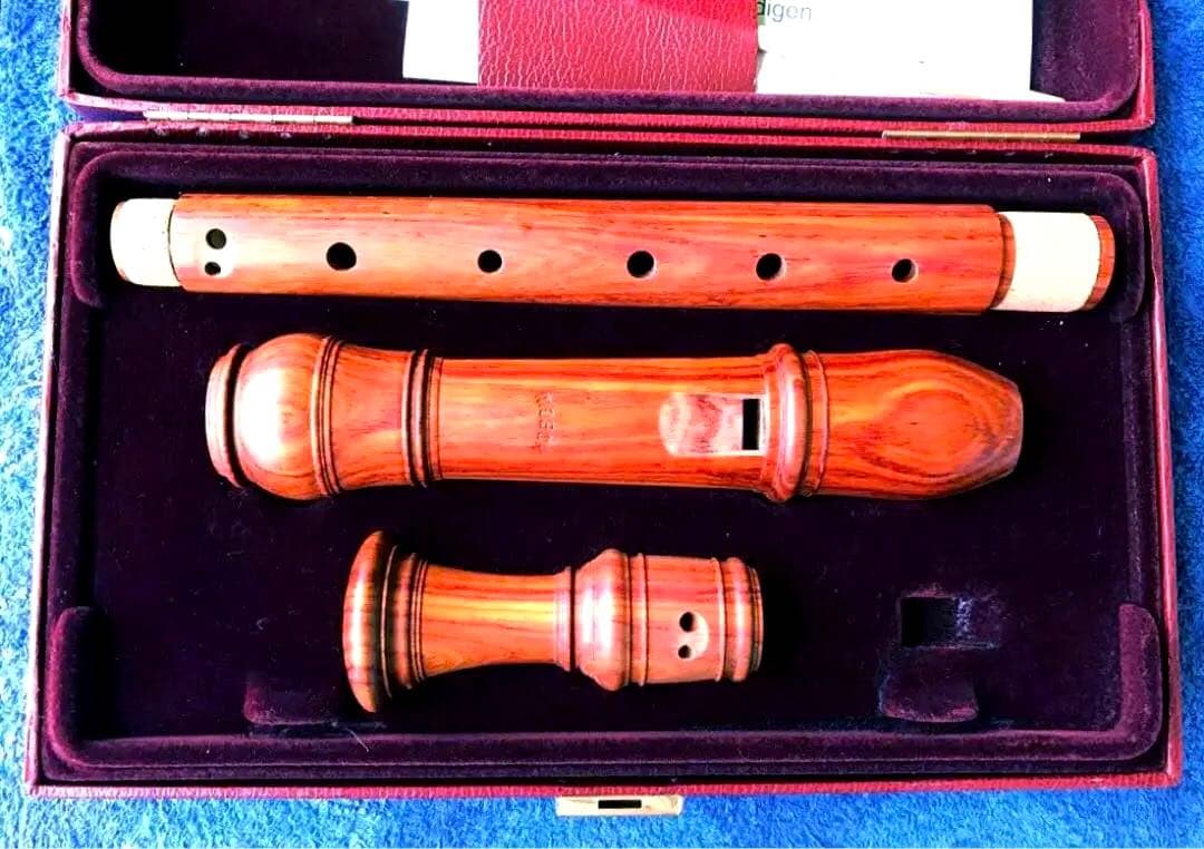 MOECK高級アルトリコーダー(メルカリ専用)