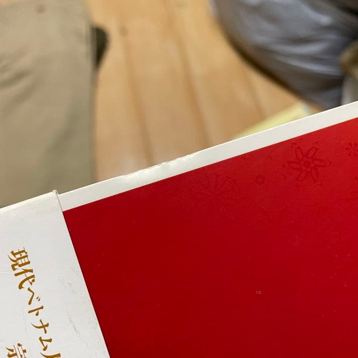 詳解ベトナム語辞典　自炊用　スキャン用