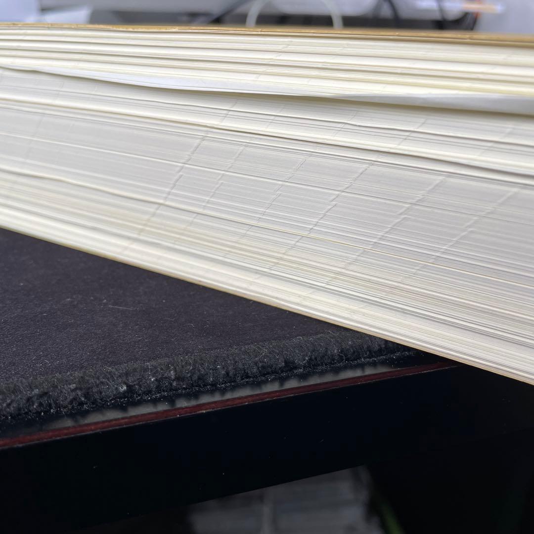 詳解ベトナム語辞典　自炊用　スキャン用