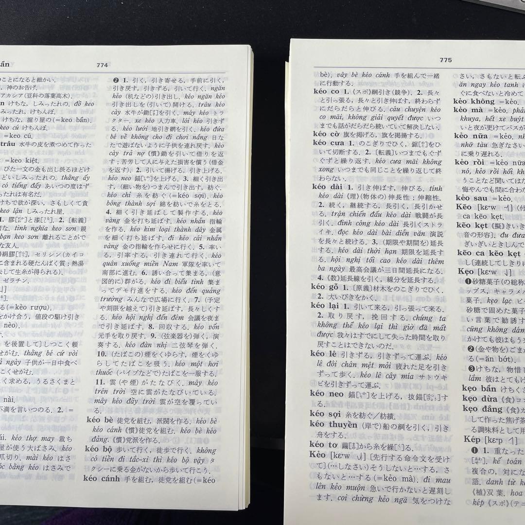詳解ベトナム語辞典　自炊用　スキャン用
