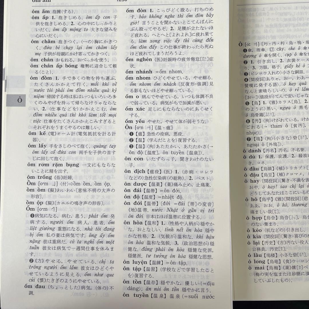 詳解ベトナム語辞典　自炊用　スキャン用