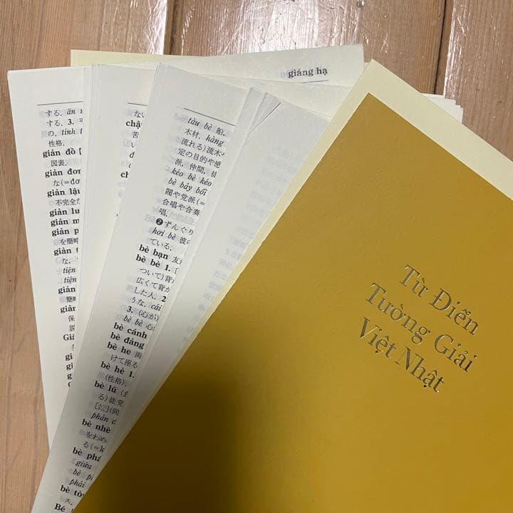 詳解ベトナム語辞典　自炊用　スキャン用
