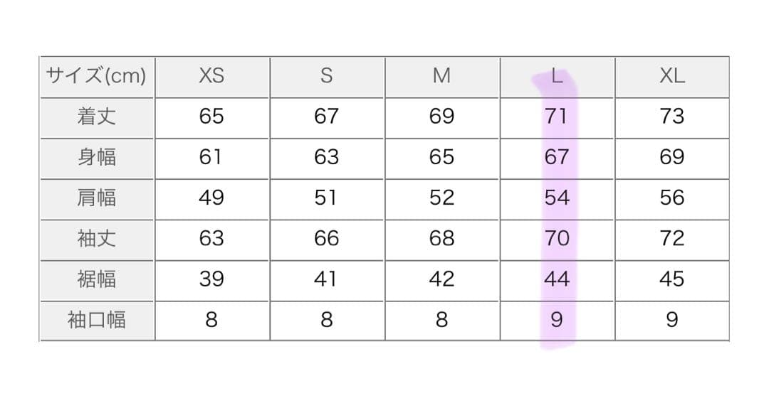 【新品】THE NORTH FACE WPボンバージャケット MA-1 ブルゾン