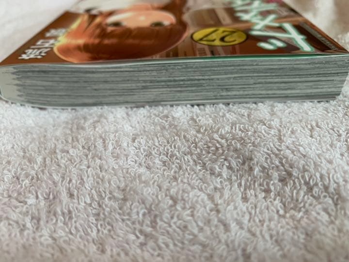 ドメスティックな彼女　1〜27巻セット　22巻は特装版の表紙