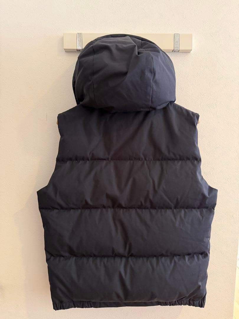 THE NORTH FACE パープルレーベル L ダウンベスト