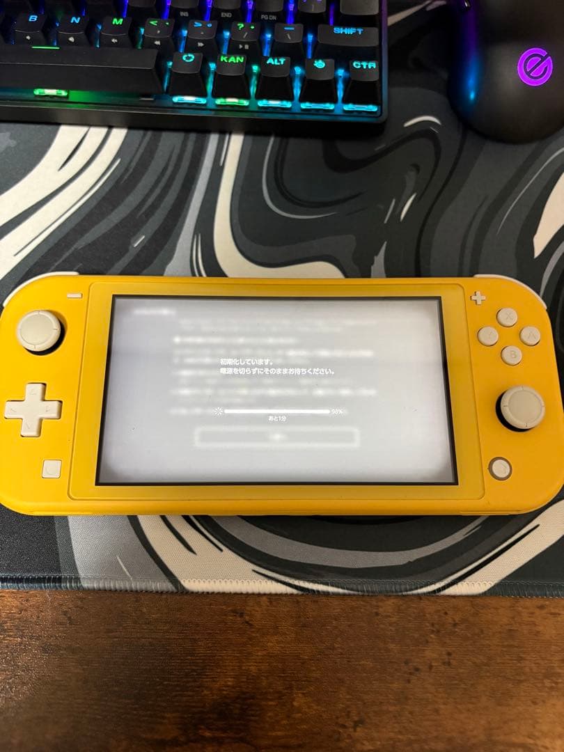 動作確認済み任天堂SwitchLight本体