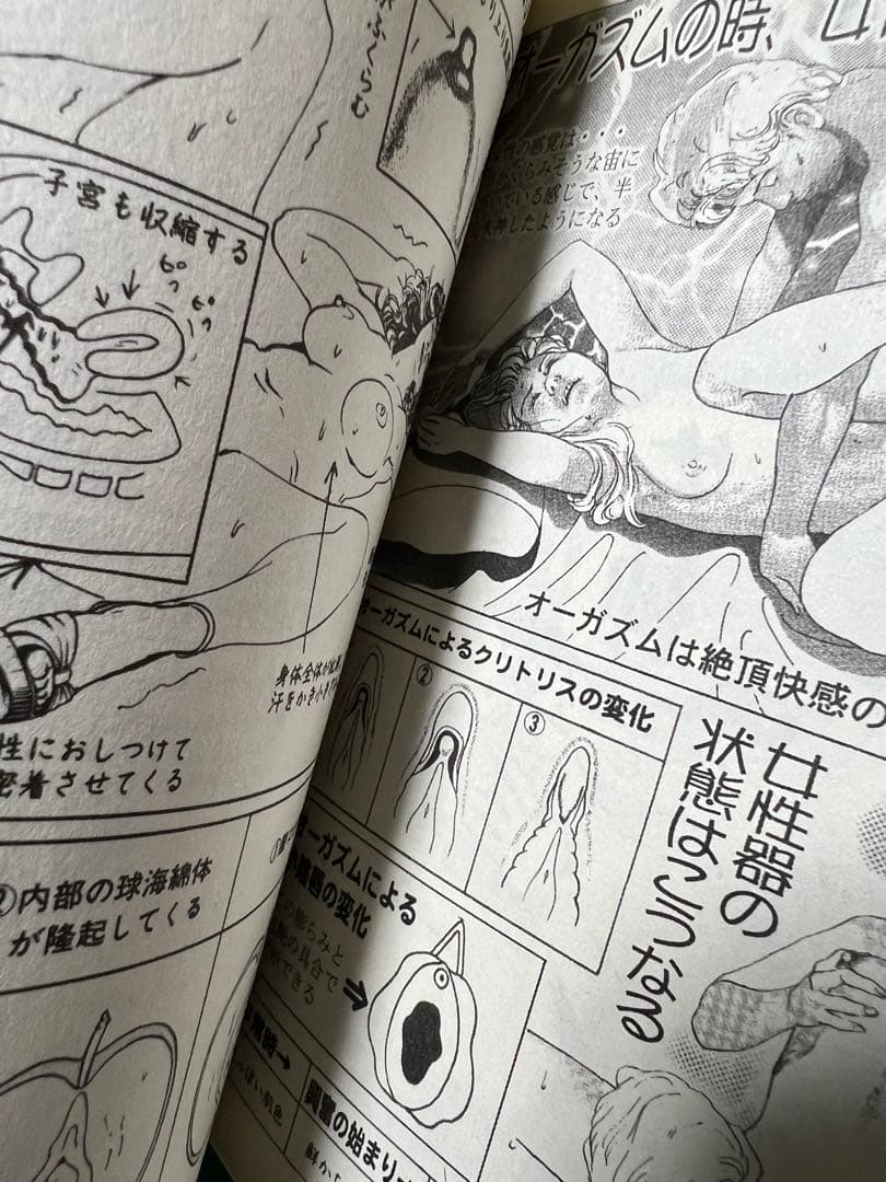 【実業之日本社】快楽プレイの裏技4冊セット / 画)谷間夢路　作)今戸悠