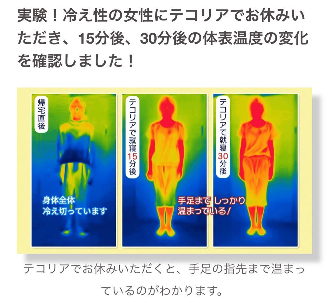 【新品】【定価70%OFF】 空気循環マットレス テコリア シングル