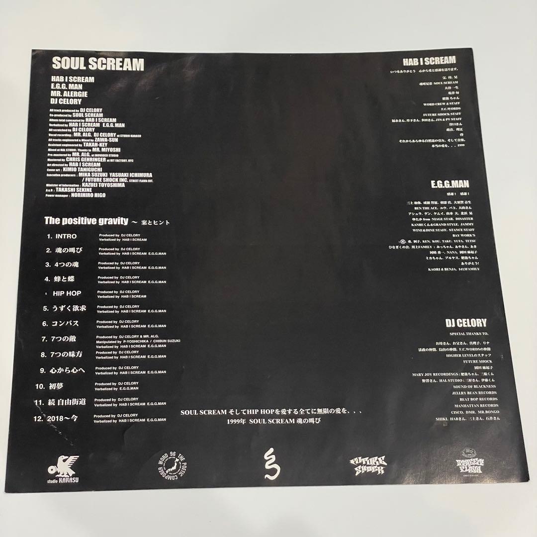 SOUL SCREAM the positive gravity 案とヒント