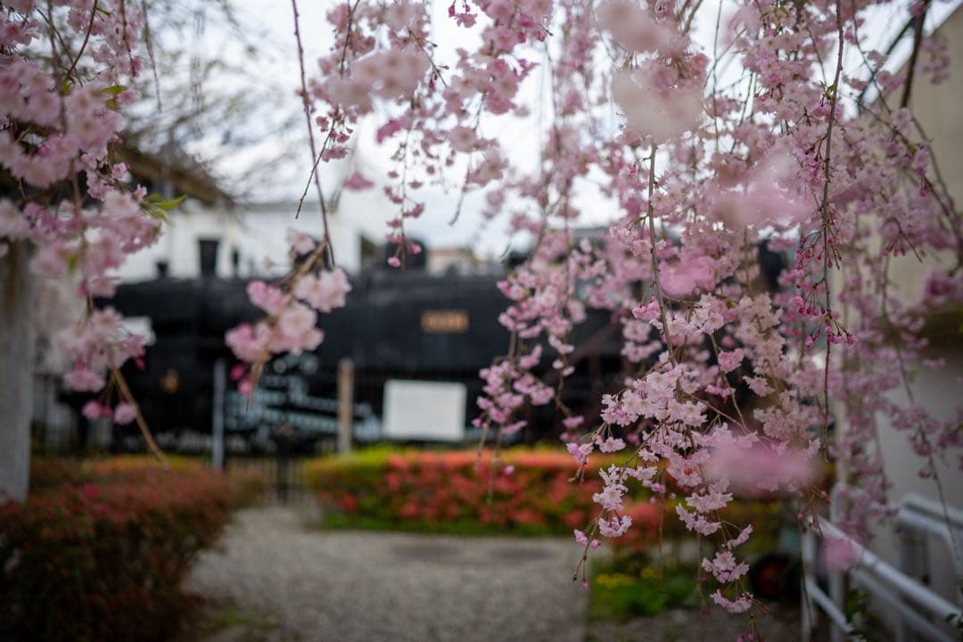 【ニコン】Nikkor Z 35mm f1.8 S