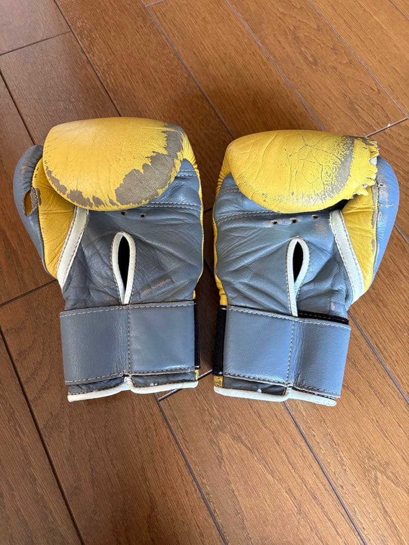 Winning ウイニング ボクシンググローブ 8oz カラーオーダー