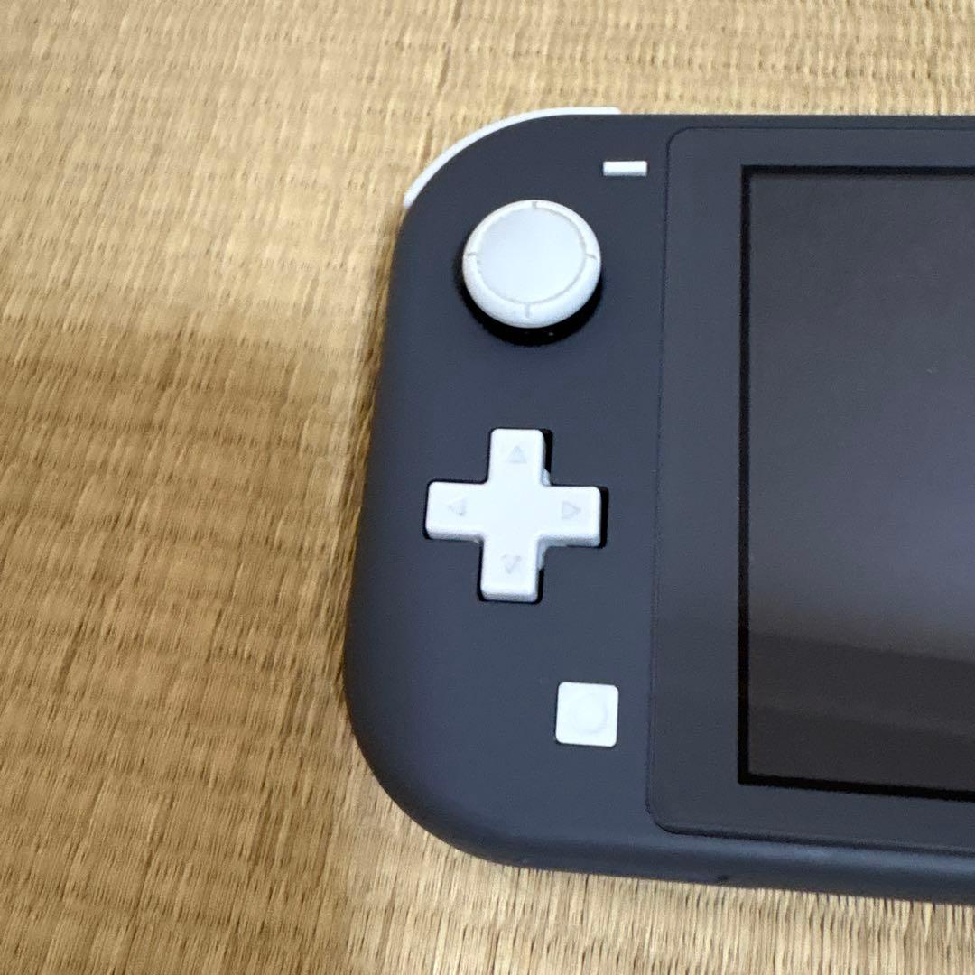 nintendo switch Lite グレー　ケース、外箱、保護フィルム付き