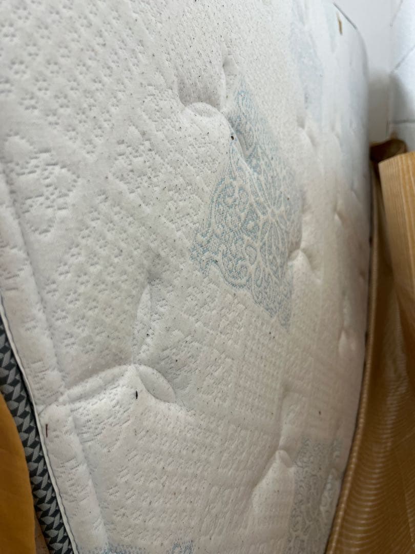 ひ*め様 サータ トラディション 94 ノーマル6.8 キング