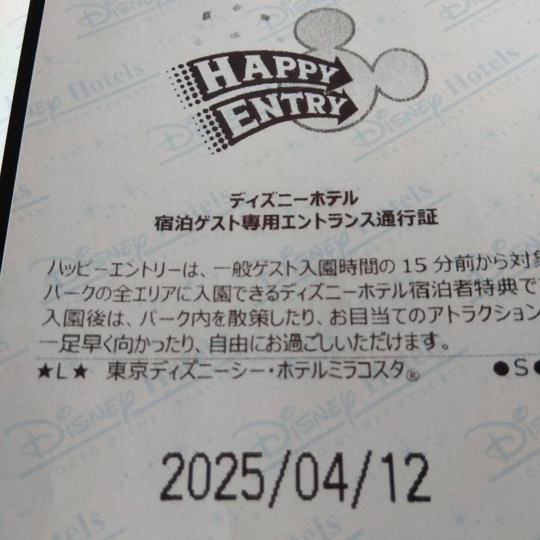 東京ディズニーリゾートハッピーエントリー2枚