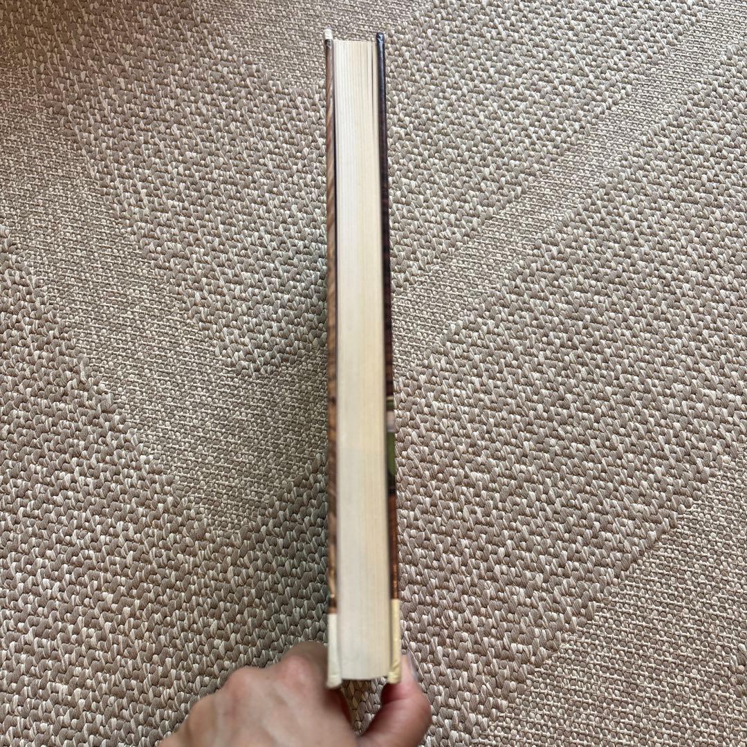 洋書　TASTE IT インテリア　デザイン集　レストラン　美品　即日発送