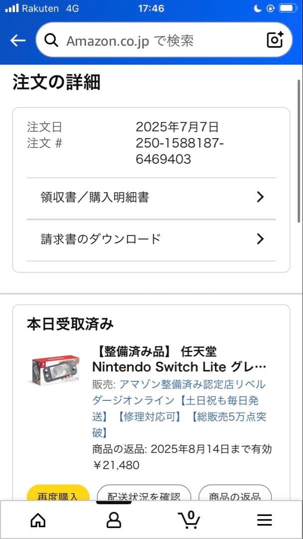 任天堂Switch Lite グレー