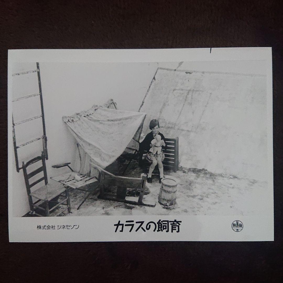 カラスの飼育 アナトレント ロビーカード