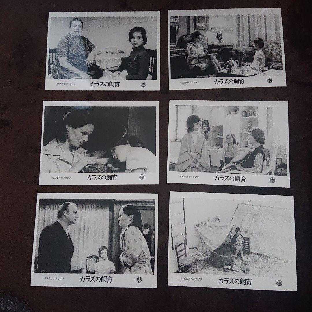 カラスの飼育 アナトレント ロビーカード