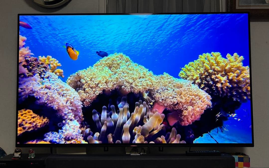 SONY BRAVIA 有機elテレビ　KJ-55A8G 19年 ※直接引取り可